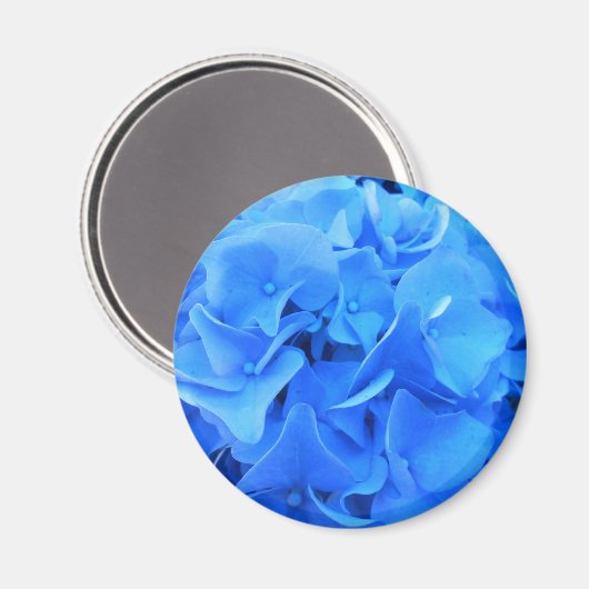 Seraphine Magnet (Vorderseite/Rückseite)