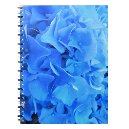 Seraphine Notizblock (Vorderseite)