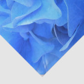Seraphine Seidenpapier (Detail)
