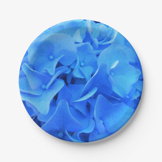 Serapin Pappteller (Vorderseite)