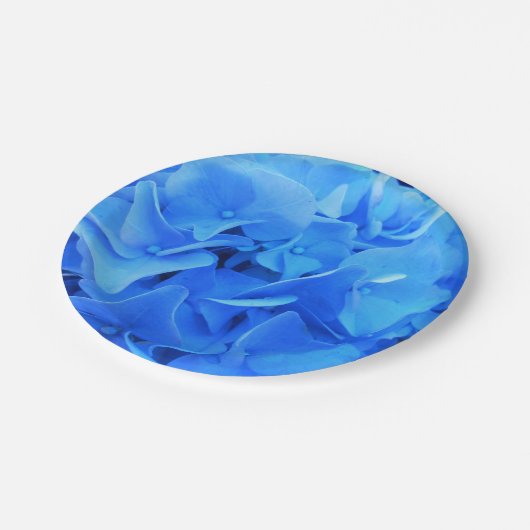 Serapin Pappteller (Schrägansicht)