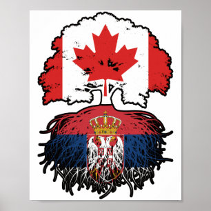 Serbia Serbian Canadian Canada Tree Roots Flag Poster