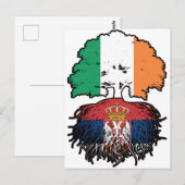 Serbia Serbian Irish Ireland Tree Roots Flag Postkarte (Vorne/Hinten)