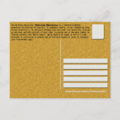 SERBIAN MONASTERIEN - Kloster Mileševa 2 Postkarte (Rückseite)