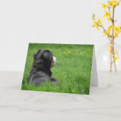 Serena in der Sonne Karte (Gelbe Blume)