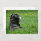 Serena in der Sonne Postkarte (Vorne/Hinten)