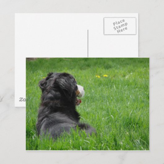 Serena in der Sonne Postkarte (Vorne/Hinten)