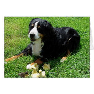 Serena und die Ducklings Jedes Anlasses Card