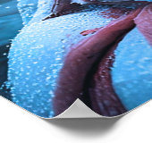 Serenade im Schnee Poster (Ecke)