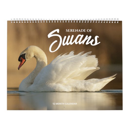 Serenade von Swans Kalender (Titelbild)