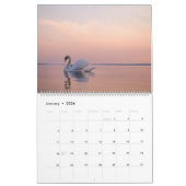 Serenade von Swans Kalender (Jan 2026)