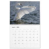 Serenade von Swans Kalender (Mär 2026)