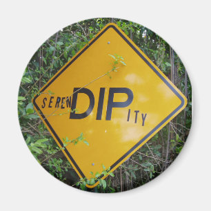 Serendipity-Magnet Magnet