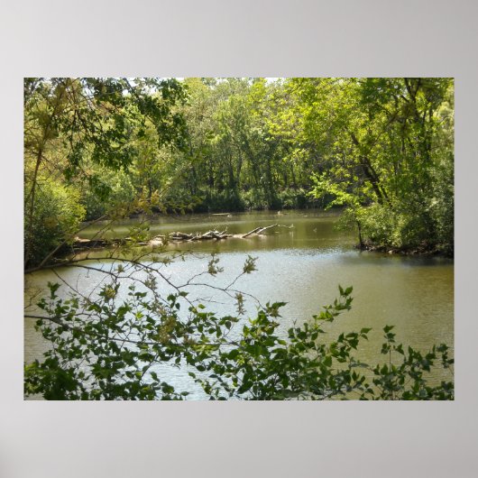 Serene 2 poster (Vorne)