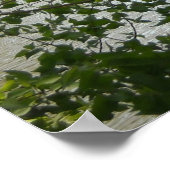 Serene 2 poster (Ecke)