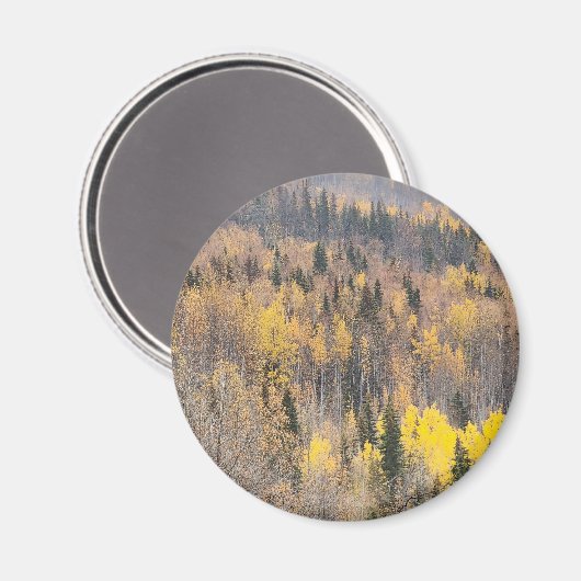 Serene Autumn Forest Magnet (Vorderseite/Rückseite)