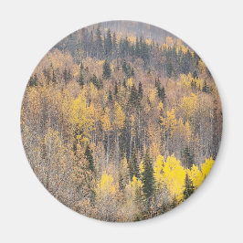 Serene Autumn Forest Magnet