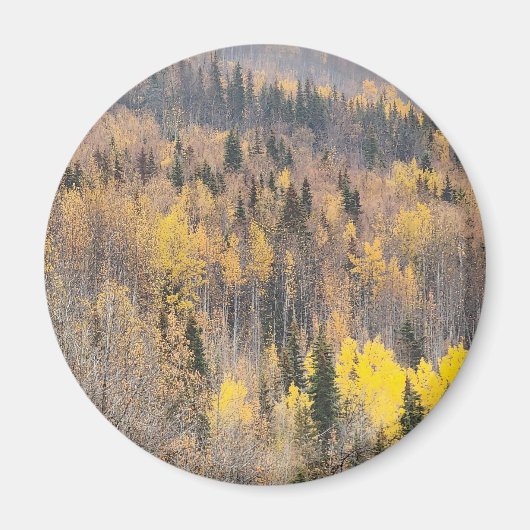 Serene Autumn Forest Magnet (Vorne)