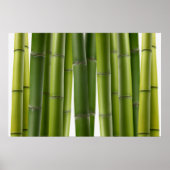 Serene Bamboo Poster (Vorne)