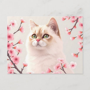 Serene Birman Cat Portrait mit Kirschblüten Postkarte