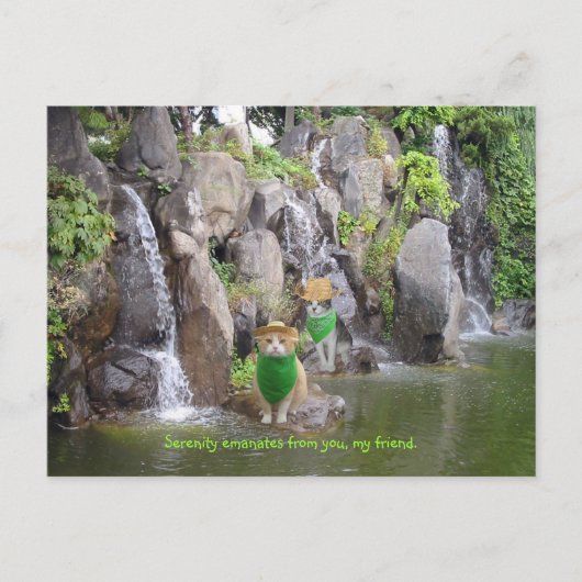 Serene Bubba Postkarte (Vorderseite)