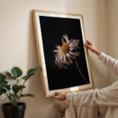 Serene daisy Blume noch Leben Foto Mauer Kunst Poster