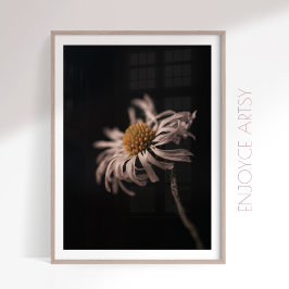 Serene daisy Blume noch Leben Foto Mauer Kunst Poster