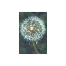 Serene Dandelion Leinwand Art - Zeitloser Natursch
