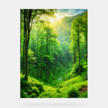 Serene Forest Glow" Wall Art.