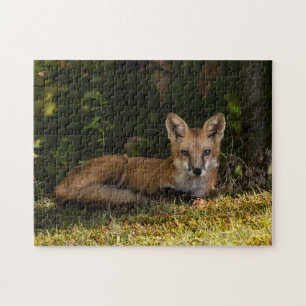 Serene Fox Puzzle