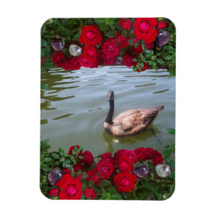 Serene Gans von wildem Rosen-Teich Magnet