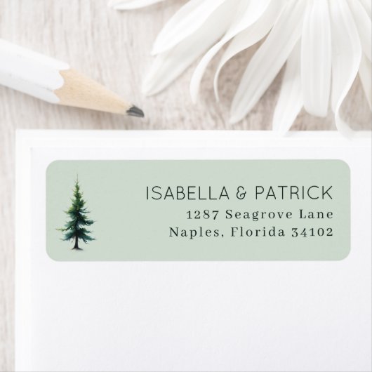 Serene Gray Conifer Tree (Insitu)