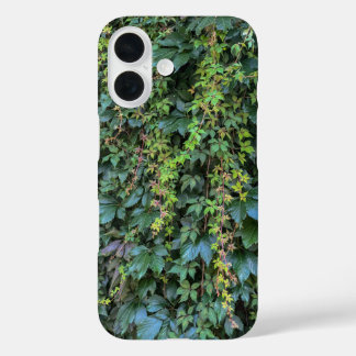 Serene Green Ivy Wall Hanging Vines Pflanze Blätte iPhone 16 Hülle