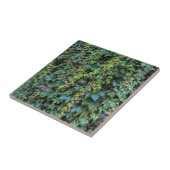 Serene Green Ivy Wall Hanging Vines Pflanze Blätte Fliese (Seite)