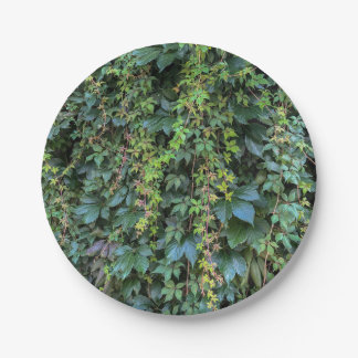 Serene Green Ivy Wall Hanging Vines Pflanze Blätte Pappteller