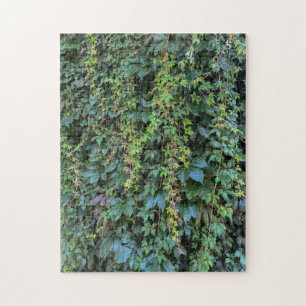 Serene Green Ivy Wall Hanging Vines Pflanze Blätte Puzzle