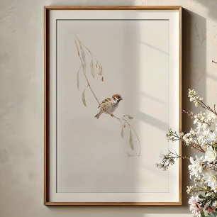 Serene House Sparrow Poster