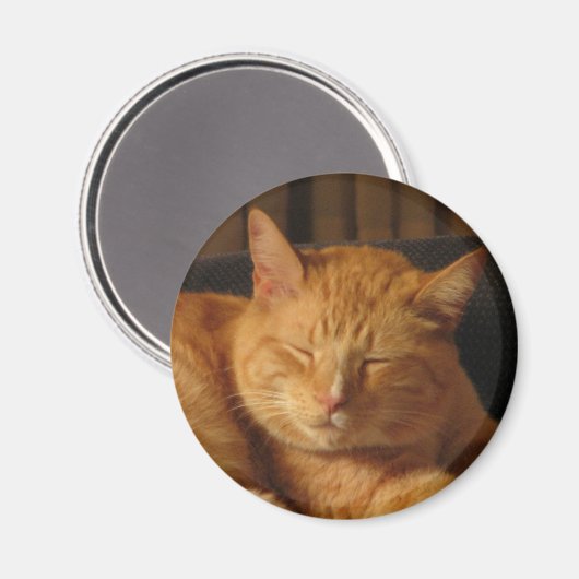 Serene Kitty Magnet (Vorderseite/Rückseite)
