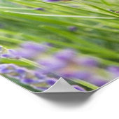 Serene Lavender Field Poster (Ecke)
