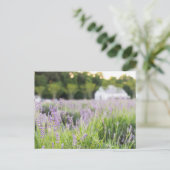 Serene Lavender Fields Postkarte (Stehend Vorderseite)