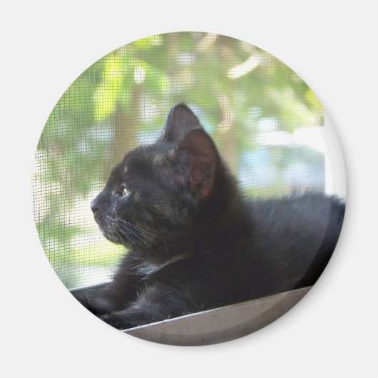 Serene Magnet (Vorne)