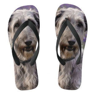 Serene Majesty: Wolfhound sitzt in einer Lila Iris Badesandalen