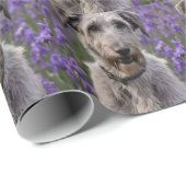 Serene Majesty: Wolfhound sitzt in einer Lila Iris Geschenkpapier (Rolleneckpunkt)