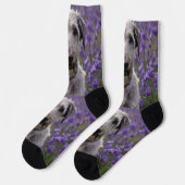 Serene Majesty: Wolfhound sitzt in einer Lila Iris Socken (Linkes Detail)