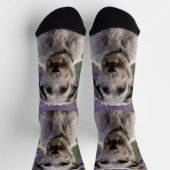 Serene Majesty: Wolfhound sitzt in einer Lila Iris Socken (Oben)