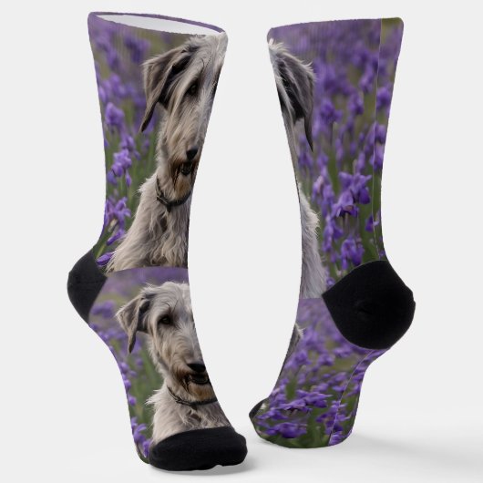 Serene Majesty: Wolfhound sitzt in einer Lila Iris Socken (Gewinkelt)