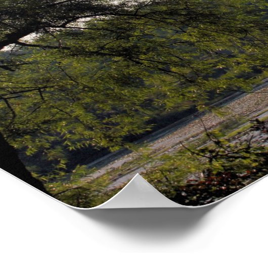 Serene Marsh und Baumart Poster (Ecke)