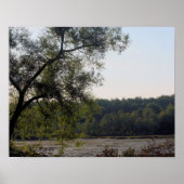 Serene Marsh und Baumart Poster (Vorne)
