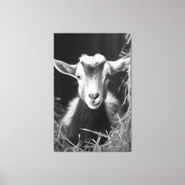 Serene Monochromatic Artistic Baby Goat Portrait Leinwanddruck