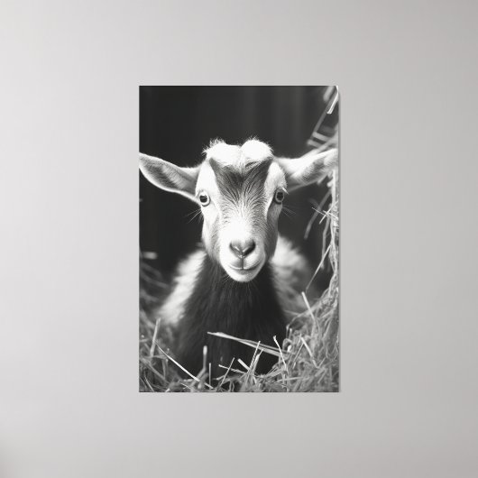 Serene Monochromatic Artistic Baby Goat Portrait Leinwanddruck (Vorderseite)